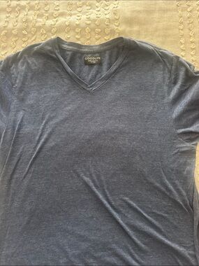 Goodlife Men's V-Neck Tee in Heather Blue